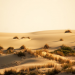 Yazdigird