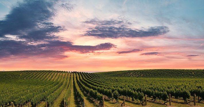 Kisah Dua Kebun dan Pemiliknya dalam Surat Al Kahfi