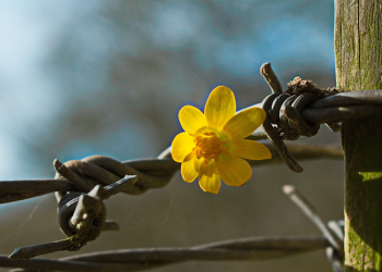 Beda Fiqih, Jangan Berantem!