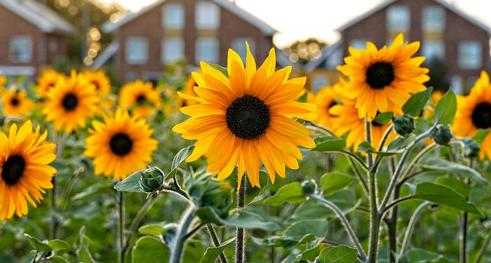 Mana yang Lebih Dulu, Bermanfaat untuk Orang Banyak atau Diri Sendiri