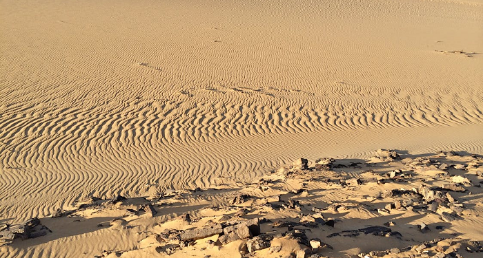 Menantu Rasulullah yang Menjadi Tawanan Perang Badar