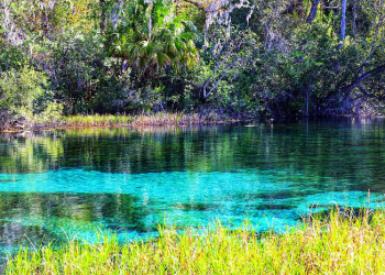 Mata Air Kehidupan yang Bisa Membuat Umur Panjang
