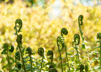 Ada 8 Cara Mudah Tingkatkan Keimanan