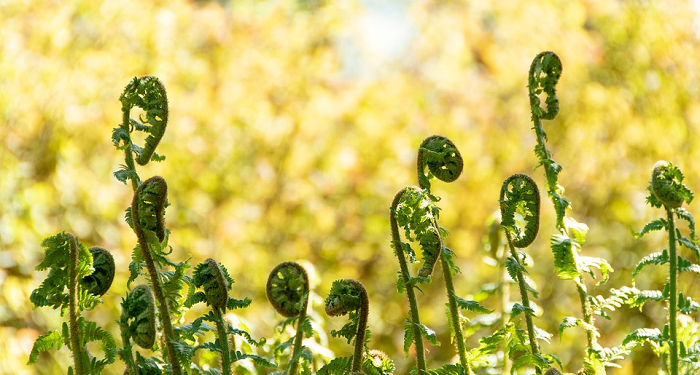 Ada 8 Cara Mudah Tingkatkan Keimanan