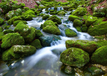 Ketika Umar bin Khathab Merasa Kenyang