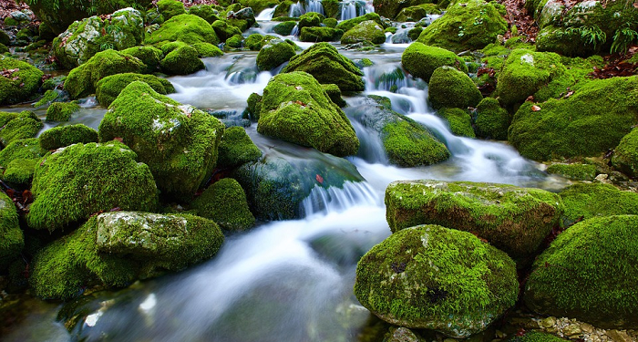 Ketika Umar bin Khathab Merasa Kenyang
