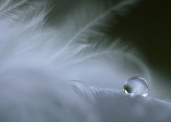 Tangisan Umar bin Abdil Aziz Rahimahullah