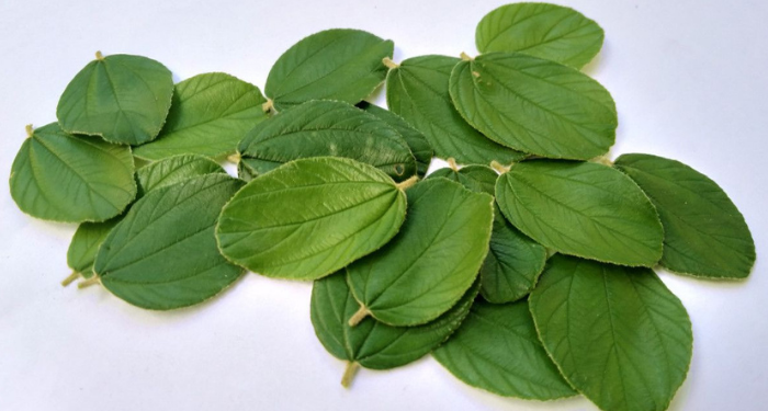 Tangisan Umar bin Abdil Aziz Rahimahullah