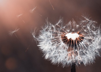 Sudahkah Kita Benar-Benar Bertawakal?