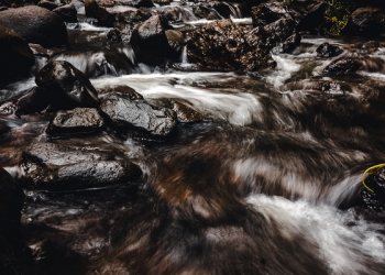 Aku Bukan Juara Kelas, Tapi Aku Paling Berani