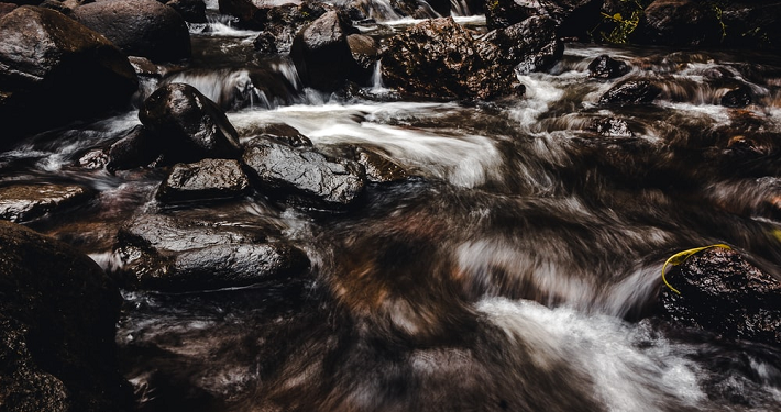 Aku Bukan Juara Kelas, Tapi Aku Paling Berani