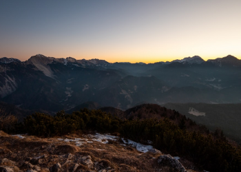 Ketika Anak Yatim Melukai Anak Umar bin Abdul Aziz