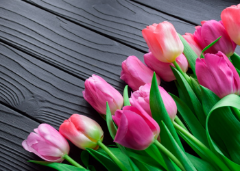 Membantu Orang Susah dan Membutuhkan Lebih Utama dari Seratus Kali Naik Haji