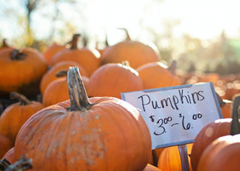 Masker Labu untuk Kulit Kusam