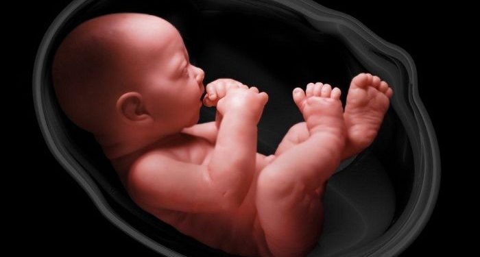 Bahagia atau Sengsara Telah Ditetapkan Sejak dalam Rahim