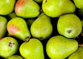 Manfaat Pir untuk Kecantikan Wajah