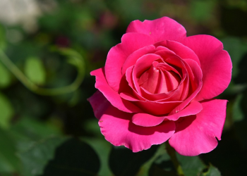 Muslimah Hindarilah Tujuh Hal Berikut