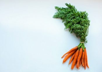 Buat Sendiri Tabir Surya Alami dengan Wortel