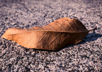 Berbaik Sangka dengan Musibah