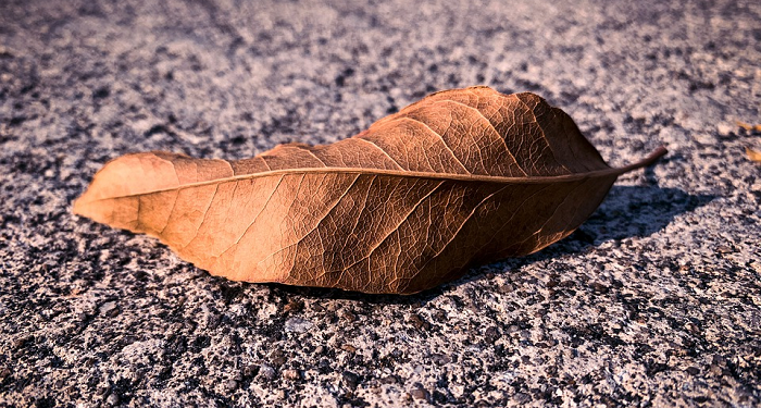 Berbaik Sangka dengan Musibah
