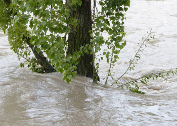 Gubernur Keren dan Banjir Jakarta Tahun 1975