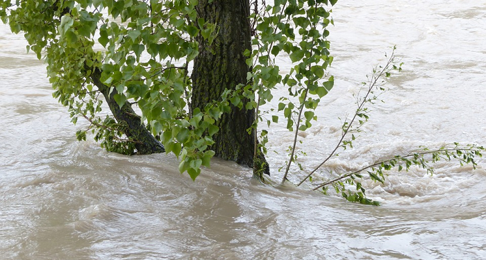 Gubernur Keren dan Banjir Jakarta Tahun 1975