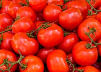 Cegah Kanker Kulit dengan Rutin Makan Tomat