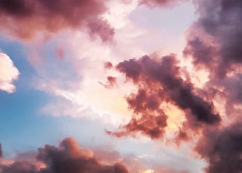 Kelompok mukmin yang dapat naungan Allah