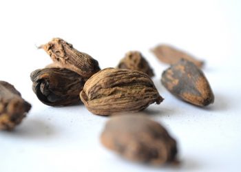 Obati Sakit Gigi dalam Sekejap dengan Biji Pala