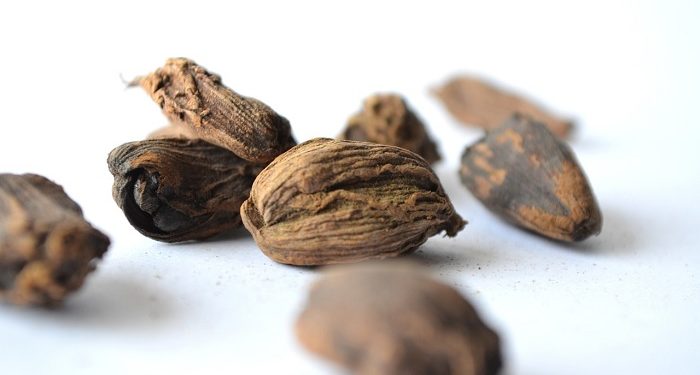 Obati Sakit Gigi dalam Sekejap dengan Biji Pala