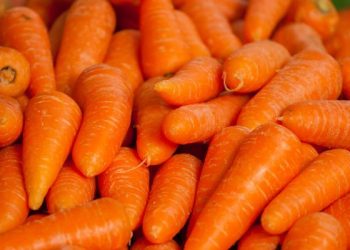 Manfaat wortel selain untuk kesehatan mata