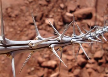 Menjaga Sikap Takwa, Meski Sedang Marah