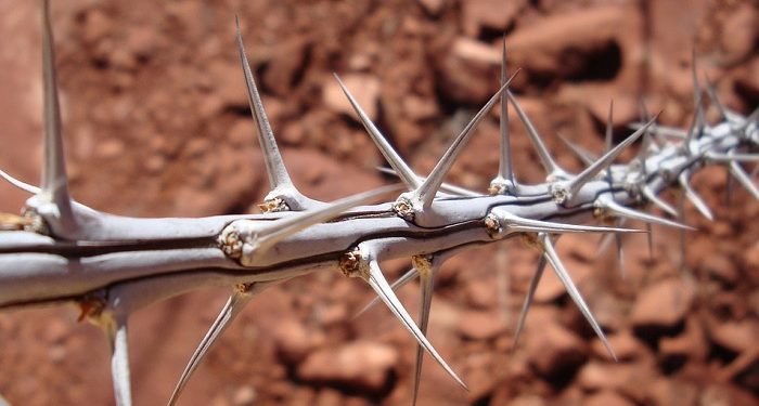 Menjaga Sikap Takwa, Meski Sedang Marah