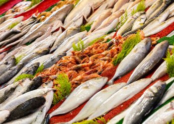 9 Makanan yang Dapat Mencegah Kanker Usus Besar