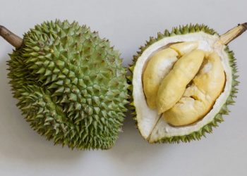 Buah tinggi kalori