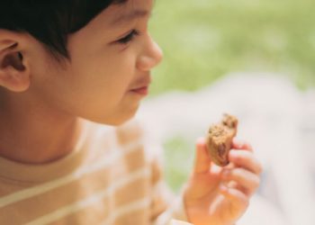 Masalah makan pada anak