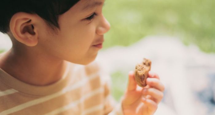 Masalah makan pada anak