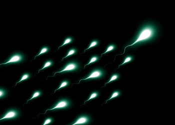 Hukum Onani dalam Islam