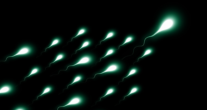 Hukum Onani dalam Islam