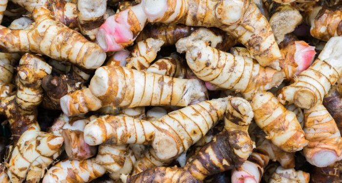 Lengkuas untuk hilangkan panu