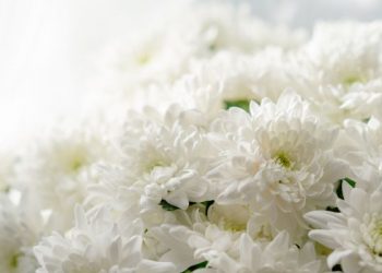 Perempuan quraisy paling bahagia