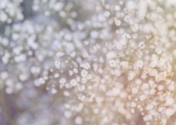 Kisah dua perempuan mulia di tengah pemboikotan