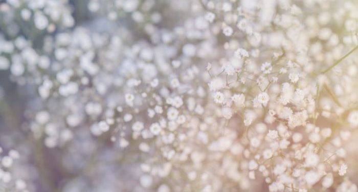 Kisah dua perempuan mulia di tengah pemboikotan