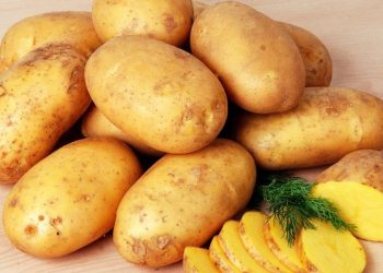 Tips menyimpan kentang agar tahan lama