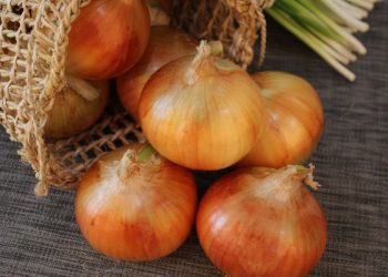 Cara menyimpan bawang bombai agar awet