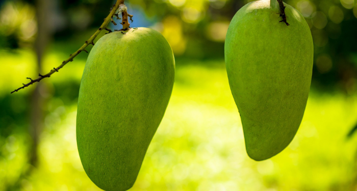 Apakah Hina Menjadi Pelayan Suami?