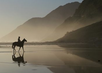 Belajar Menerima Ayat Jihad dan Ayat Poligami