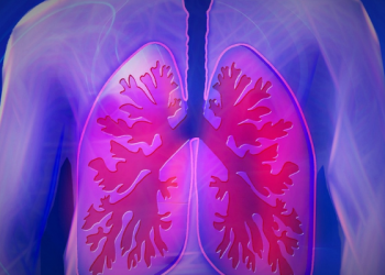 Apakah Hina Menjadi Pelayan Suami?