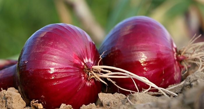 Rahasia Jus Bawang untuk Kecantikan Kulit Wajah
