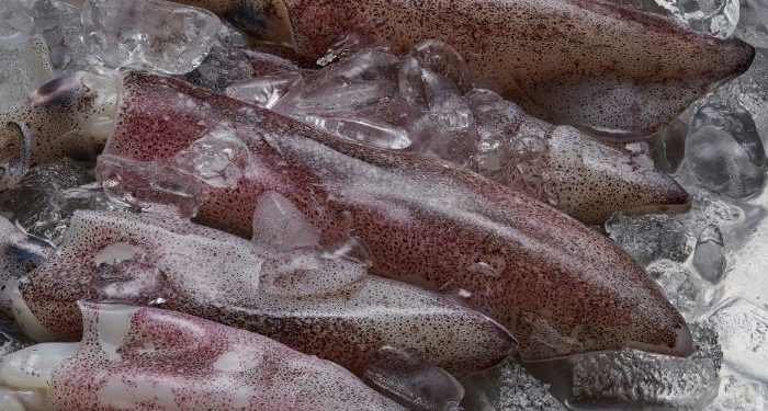 Tips agar cumi-cumi tidak alot dan kenyal setelah dimasak